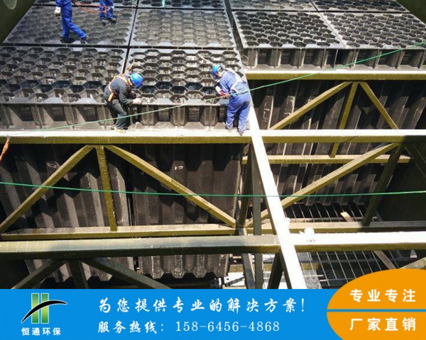 電除霧蜜桃成人网站在线观看