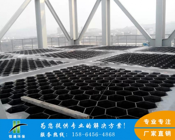 電除塵蜜桃成人网站在线观看