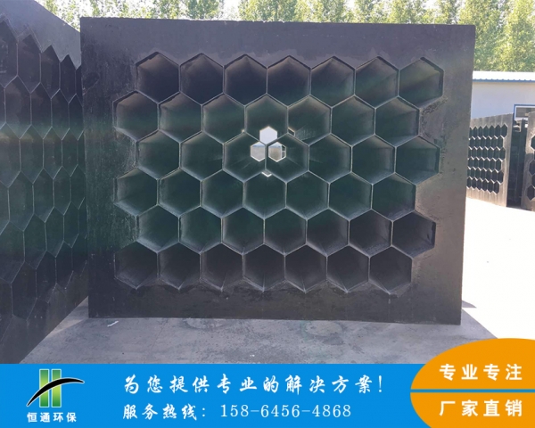 電除霧蜜桃成人网站在线观看束